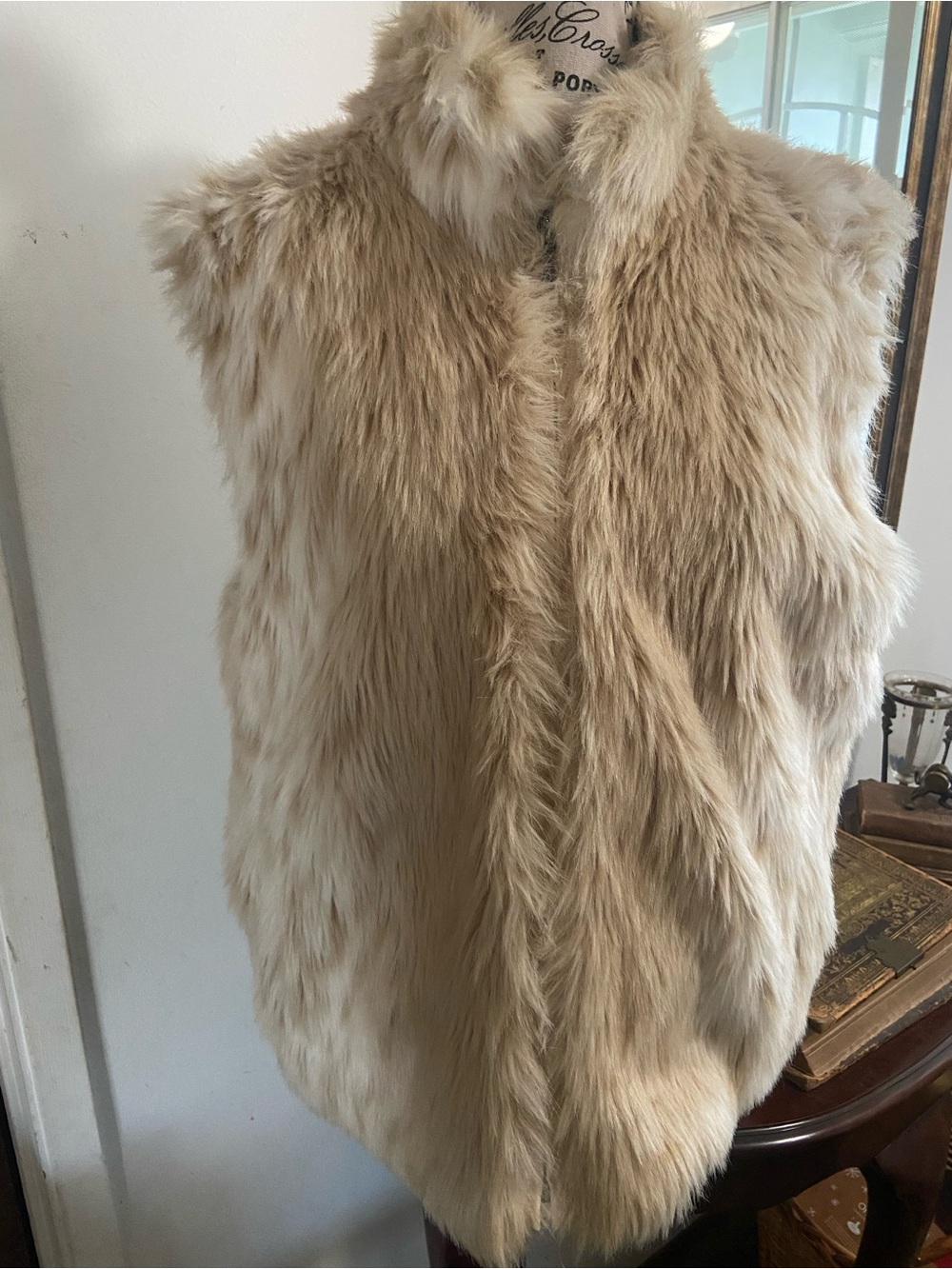 Plush Faux Fur Vest in Light Beige
